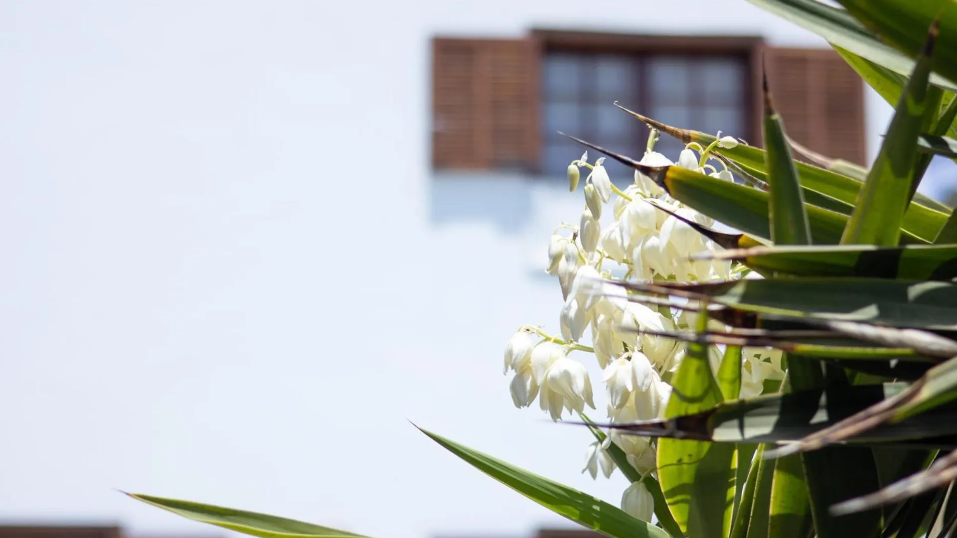 Villa Iseo 플라야블랑카