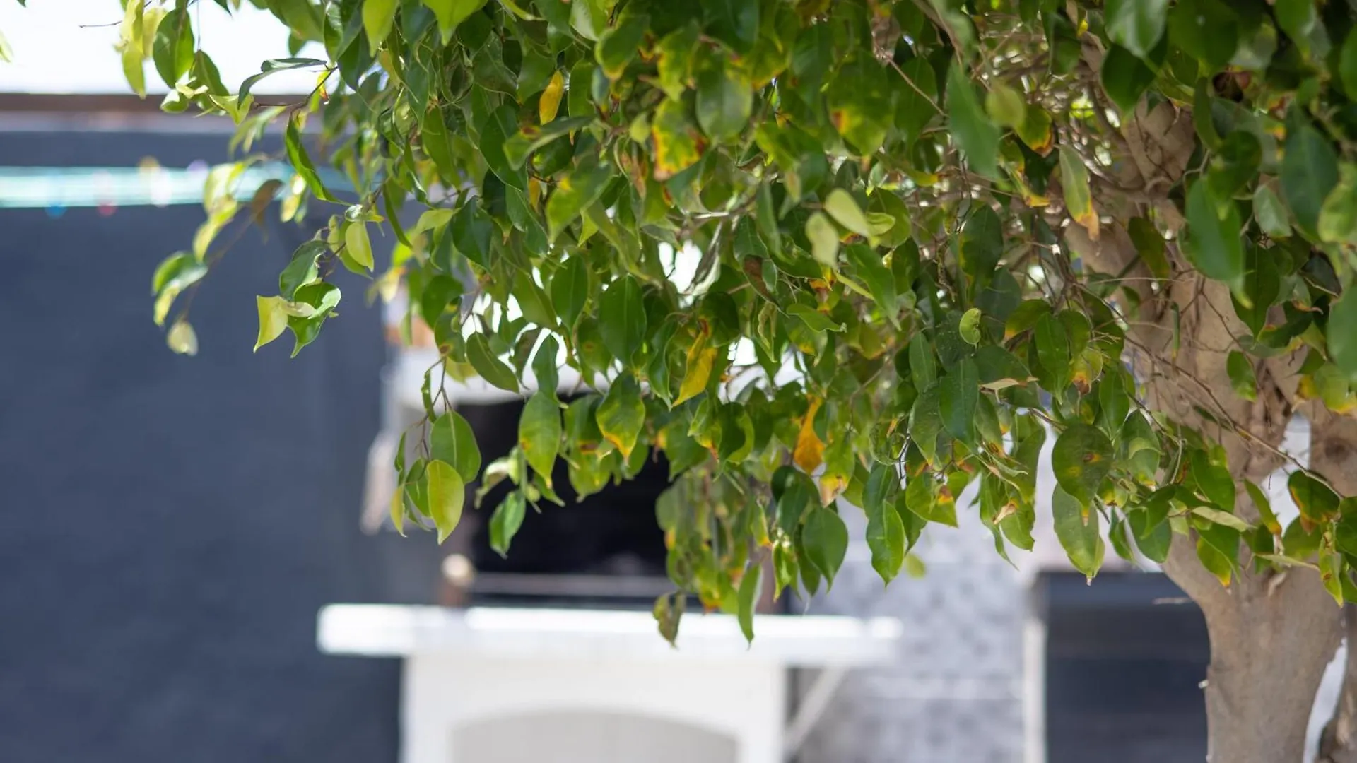 Villa Iseo 플라야블랑카